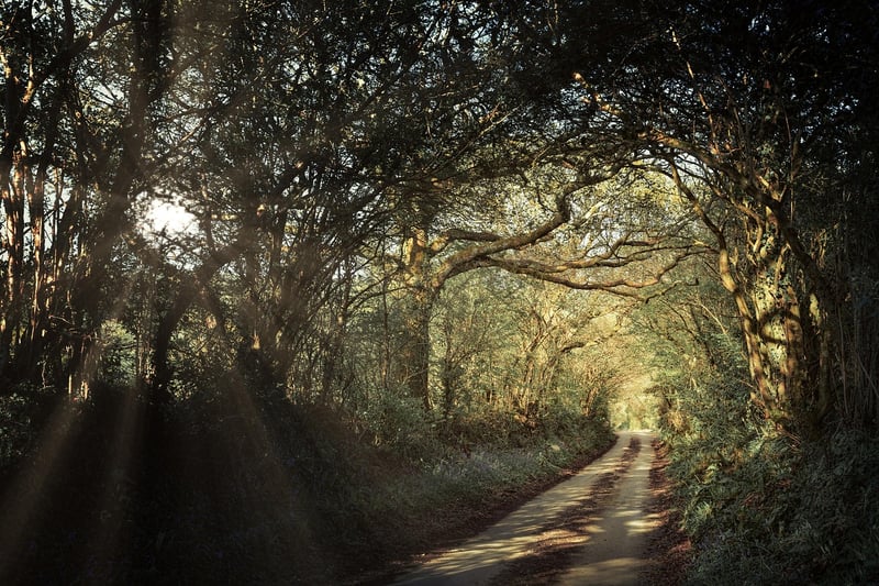 The Lost Gardens of Heligan, UK
